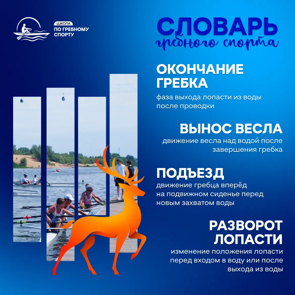 Фазы гребка - шаг за шагом 💙
