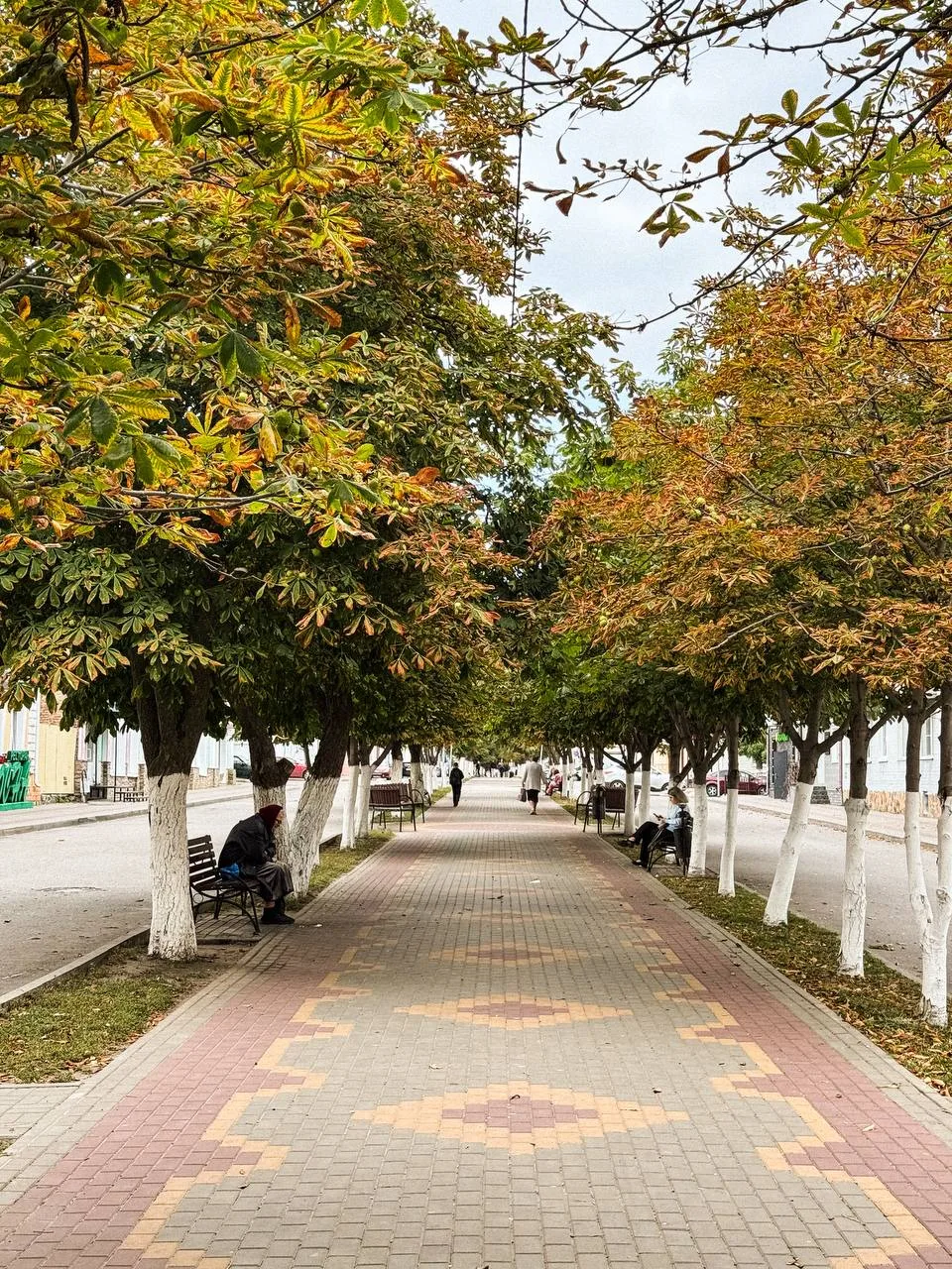 Доброе осеннее утро, ливенцы! 🍂☀️