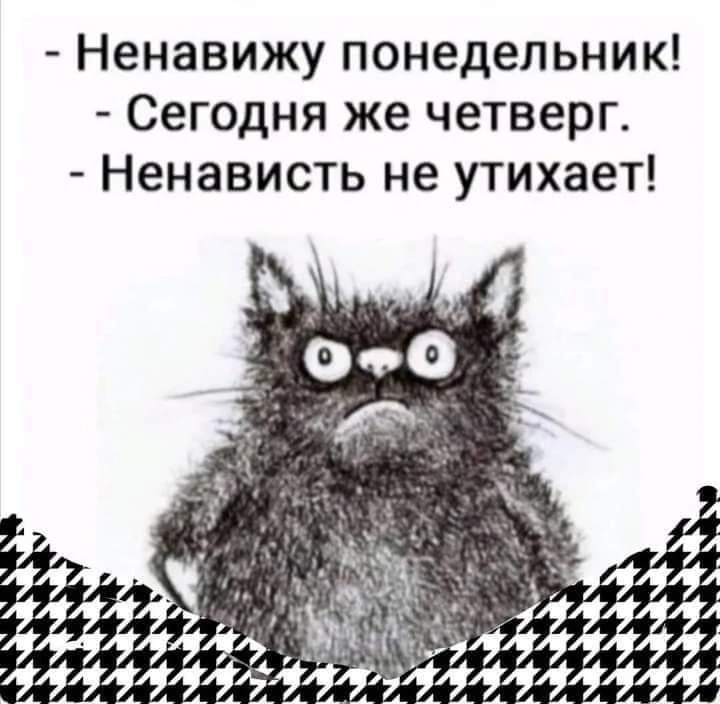 Подпишись, чтобы не потерять👇
