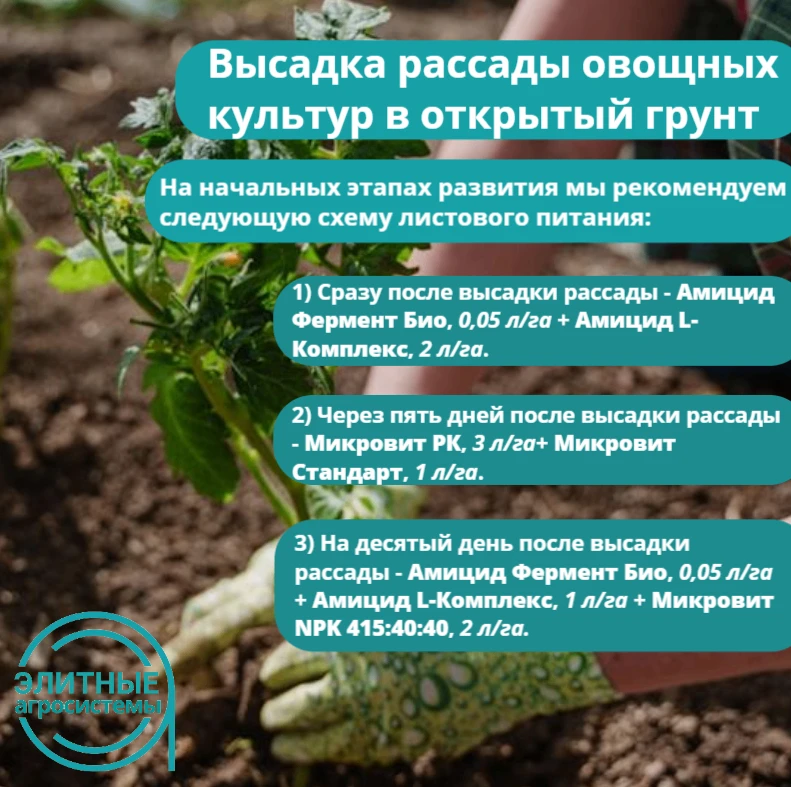 📌Сохраняйте себе полезную схему от нашего агронома, чтобы все всегда был под рукой!