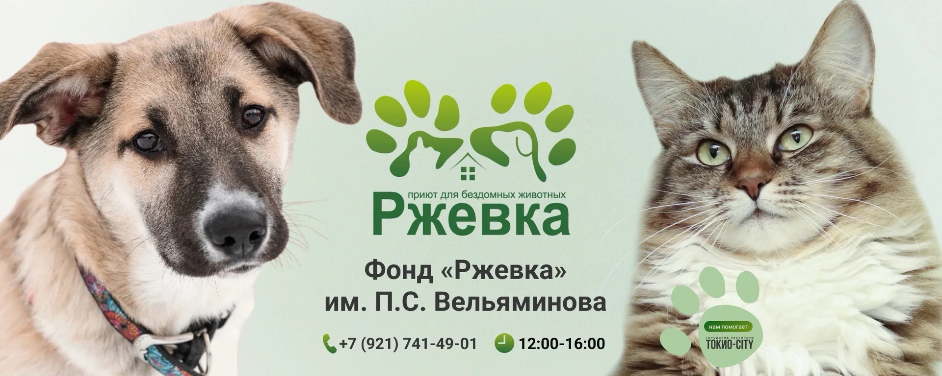 Наш детский сад вот уже 4 год организовывает акцию по сбору необходимых нужд для приюта...