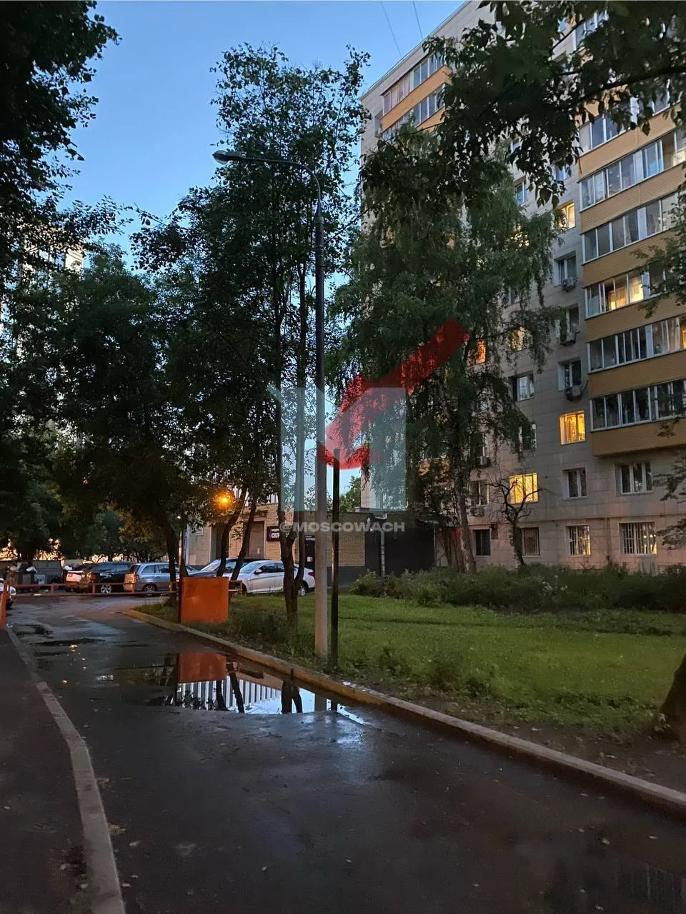 😨 Хаски чуть не погиб от удара током рядом с фонарным столбом на улице Василисы Кожиной в Москве. Т