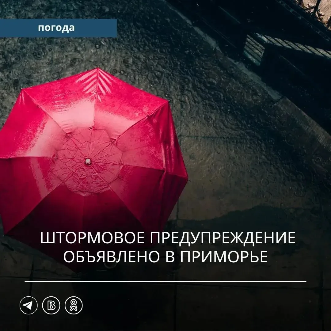 ⚠️ Штормовое предупреждение объявлено в Приморье