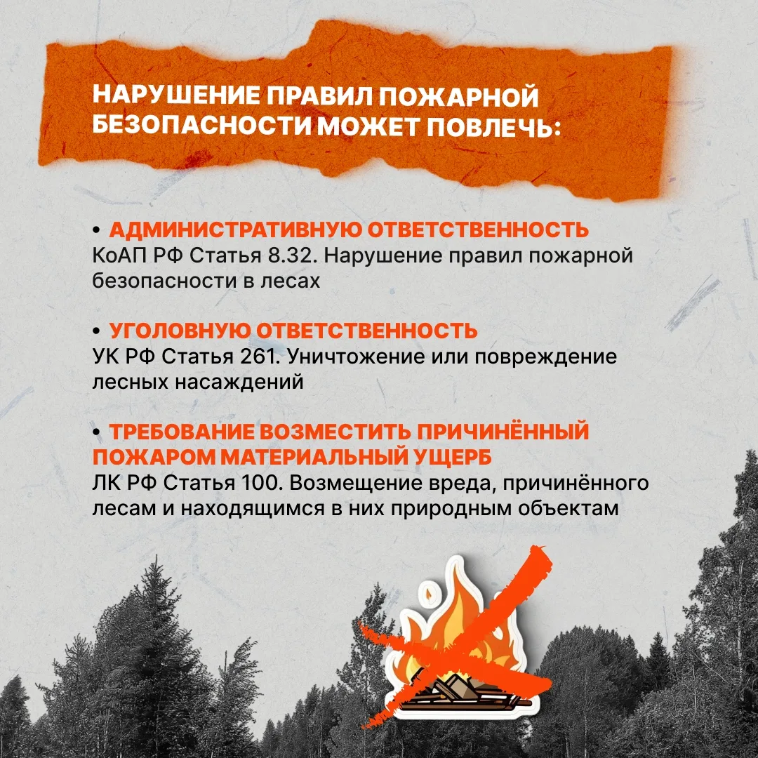 Одна непотушенная сигарета, костёр или пал сухой травы способны уничтожить гектары леса...