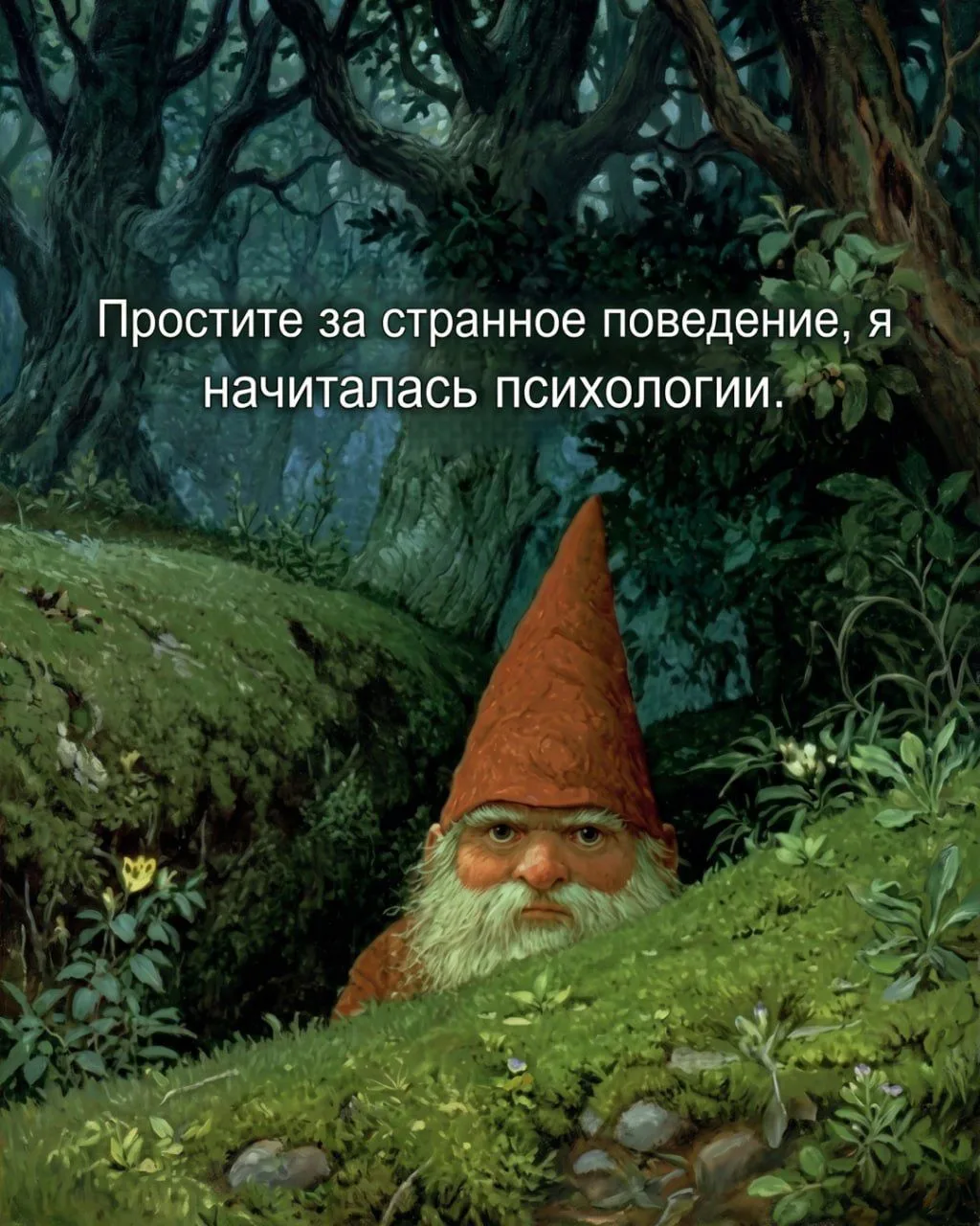Последствия от книг БОМБОРЫ