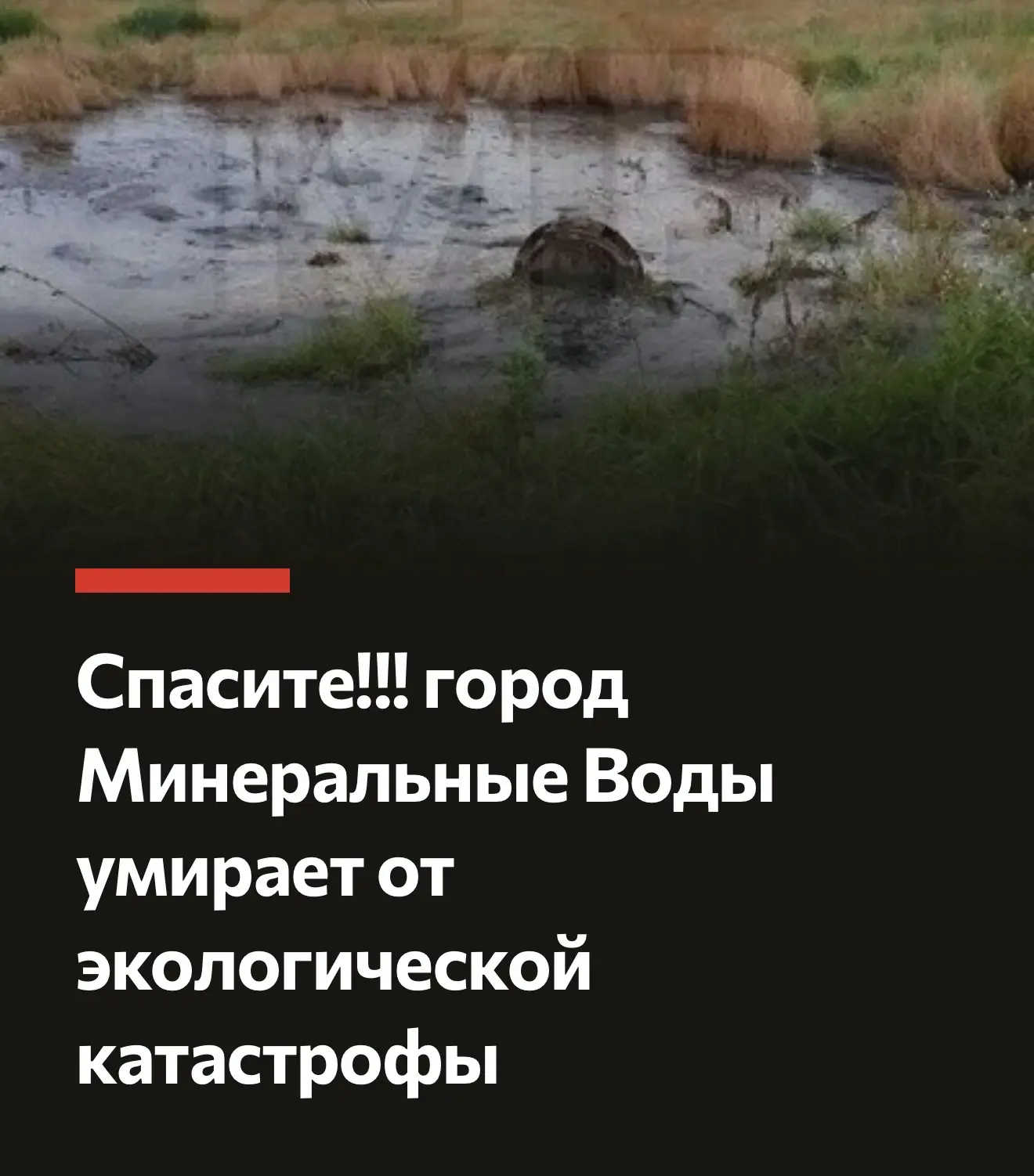 В ВК у Бастрыкина  есть приём обращений. Нужно писать напрямую, чем больше будет обраще...