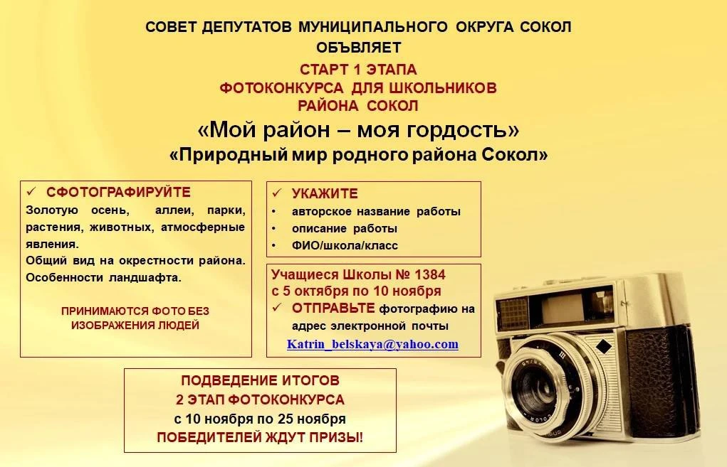 Золотая осень вдохновляет на участие в творческих конкурсах