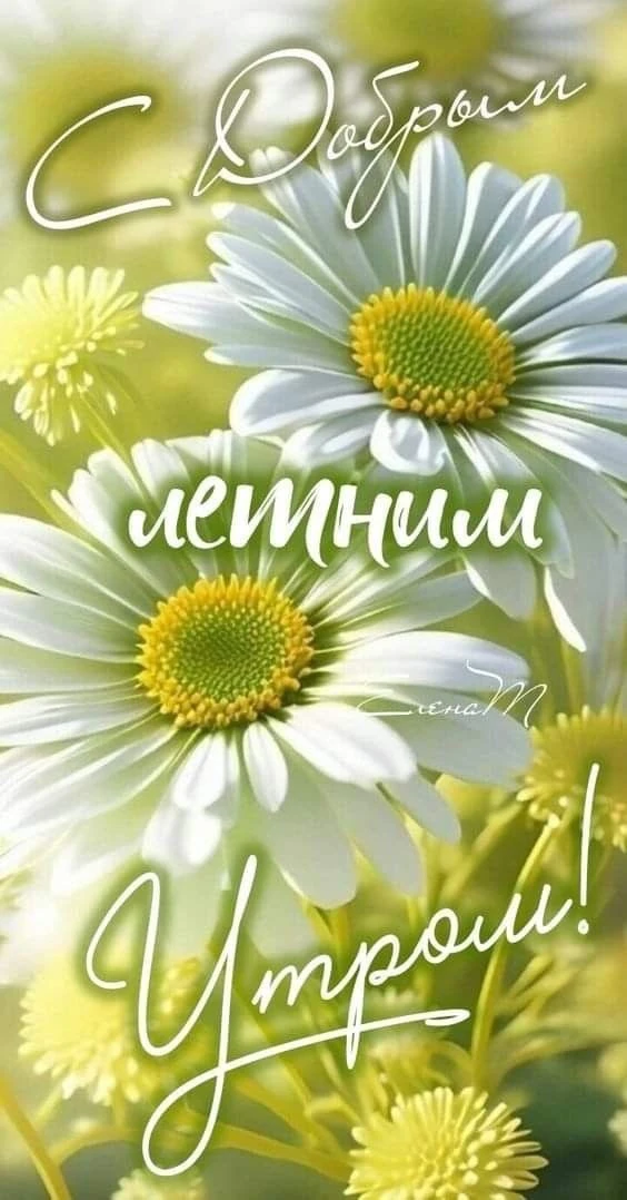 Красивые открытки❤️