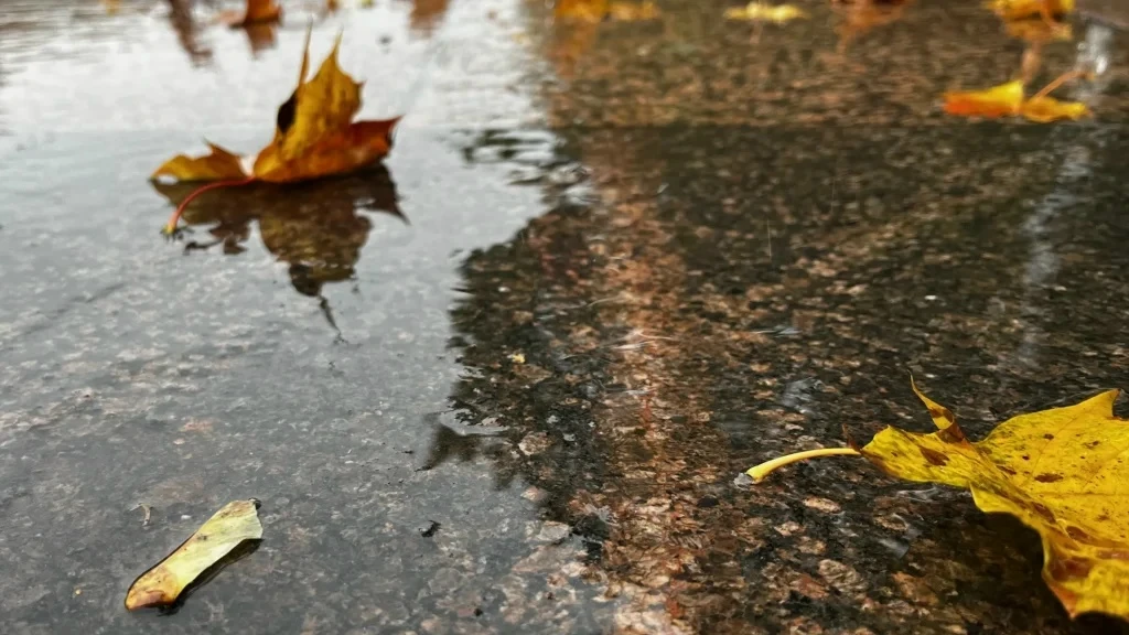 🌤 ДО +18° И НЕБОЛЬШОЙ ДОЖДЬ: ПОГОДА В БРЯНСКОЙ ОБЛАСТИ 4 ОКТЯБРЯ