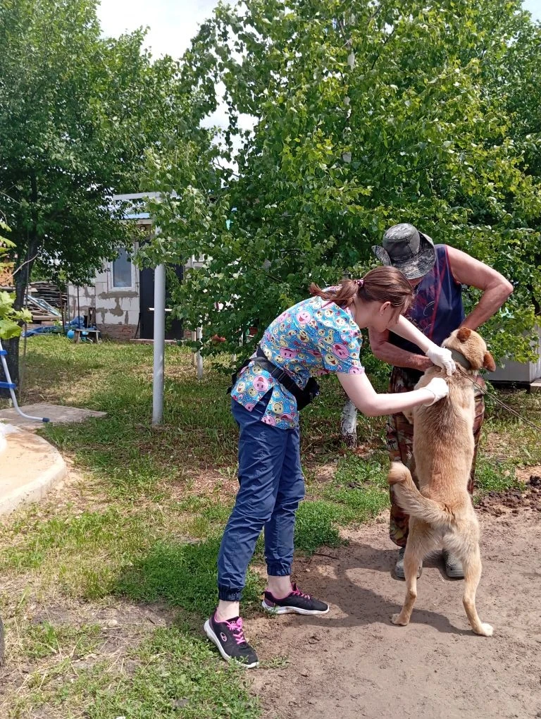 📝Оздоровительные мероприятия по лейкозу КРС, вакцинация против бешенства 💉