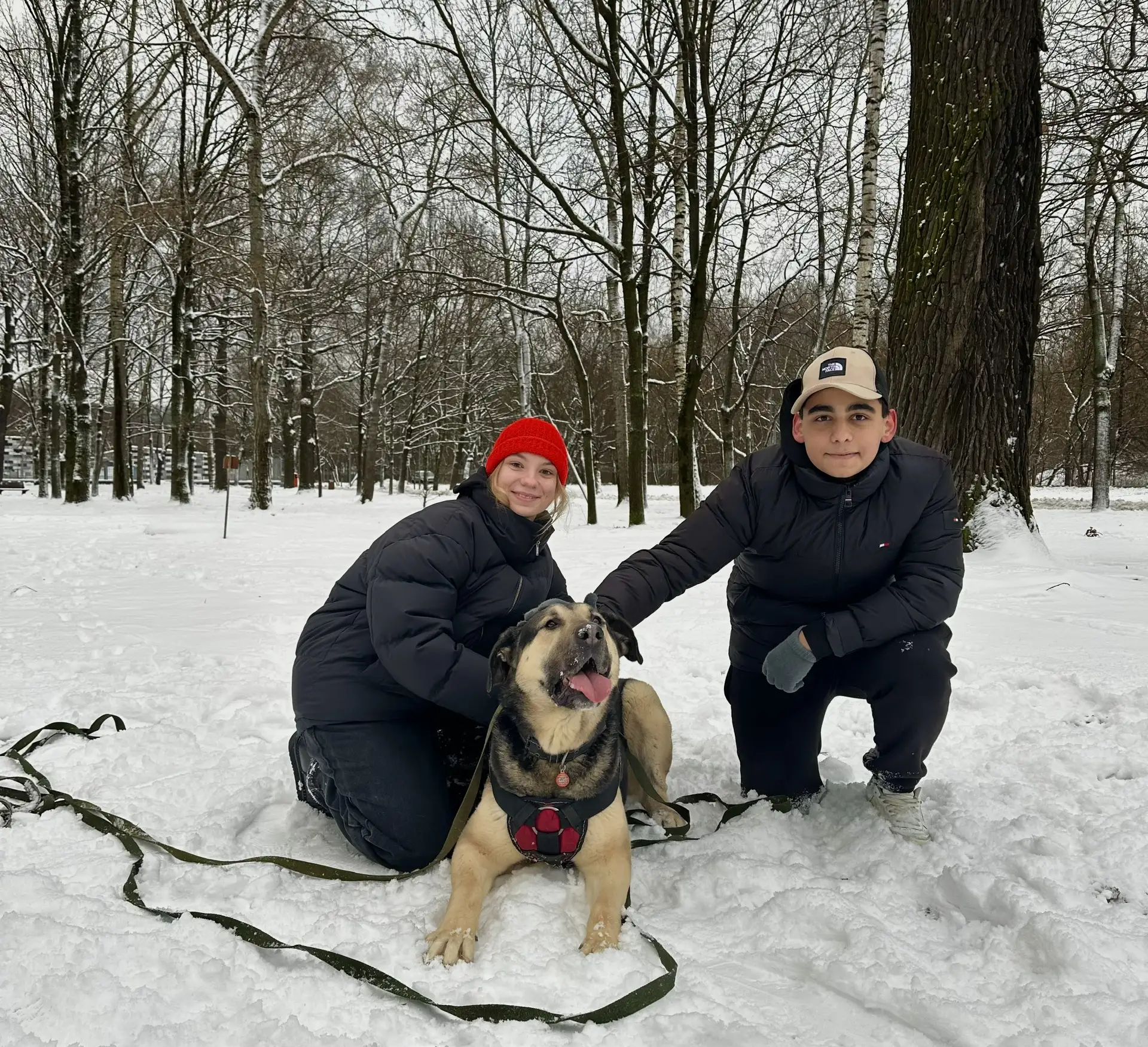 СЕРДЦА 1164❤️, СОГРЕТЫЕ ДОБРОТОЙ  🐕Для добрых дел не существует выходных. Волонтёрский центр нашей ш