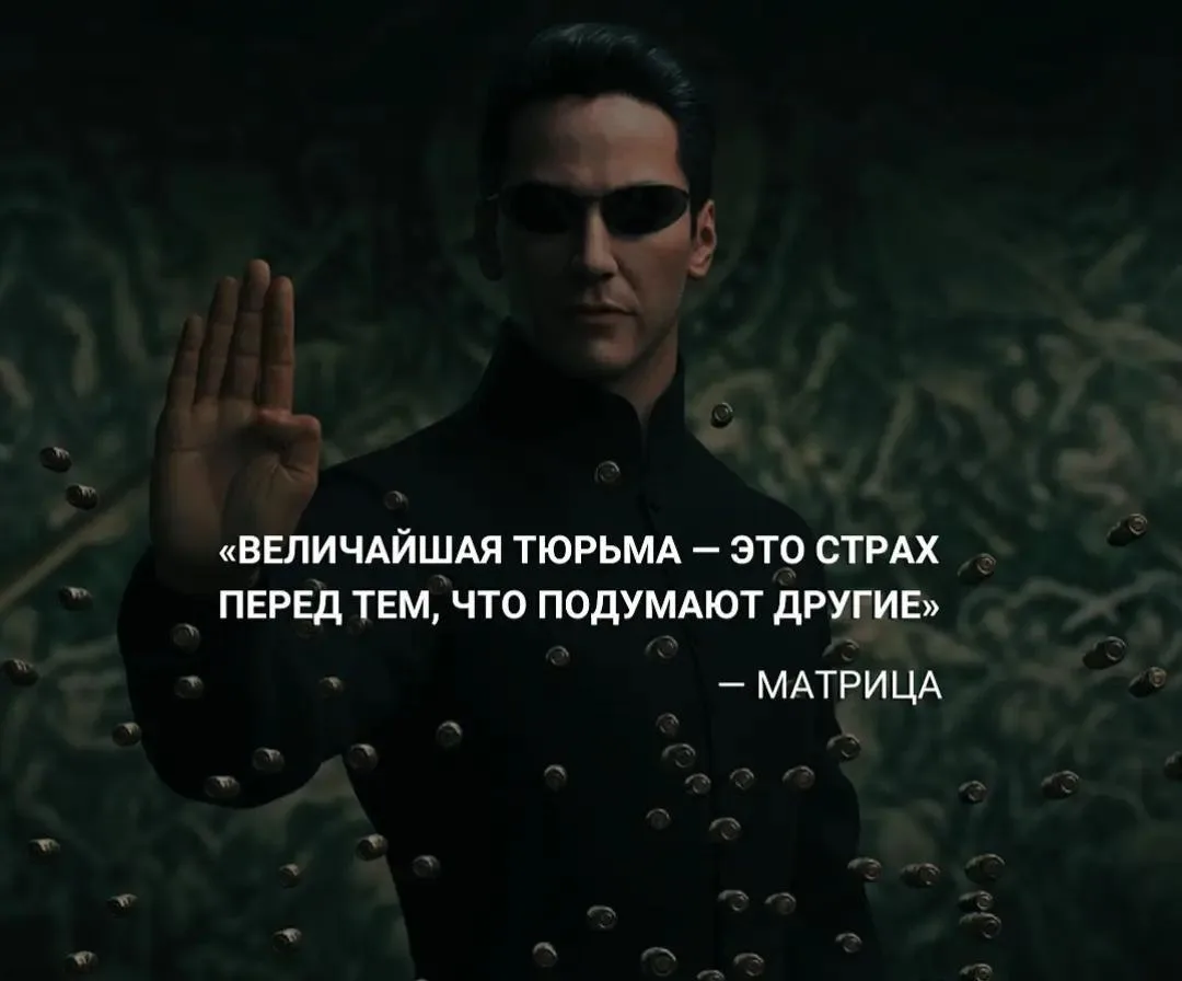 Цитата дня
