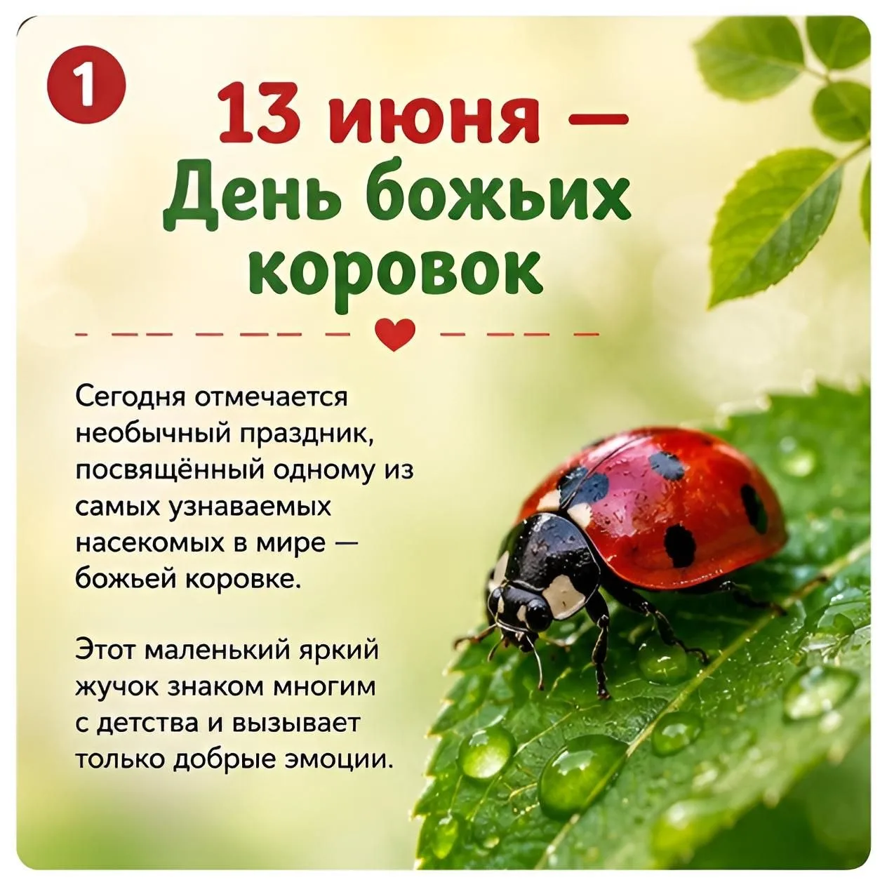 С Днём божьих коровок! Пусть этот маленький яркий жучок напомнит о красоте природы, добрых приметах 