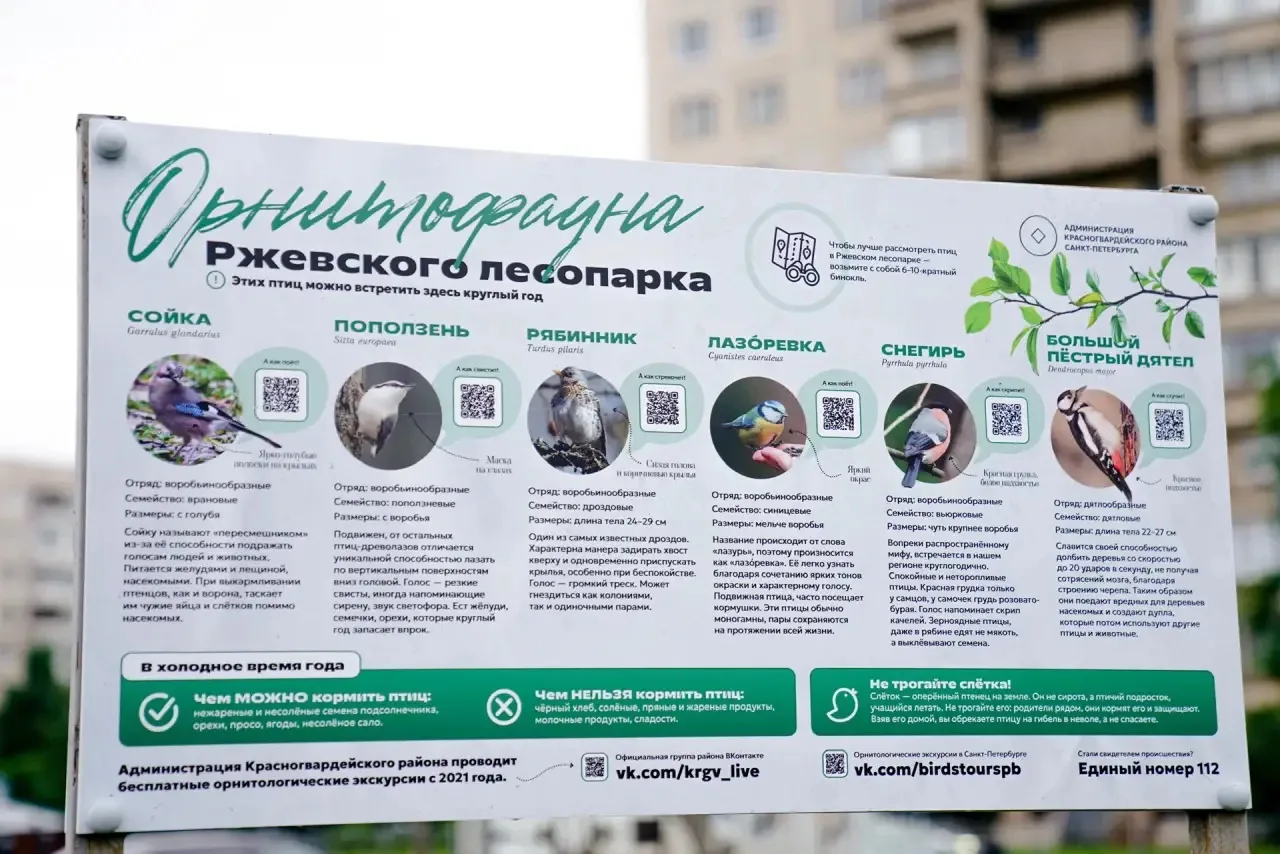 В объективе — пернатые: каких птиц можно встретить в парках Красногвардейского 

Летние орнитологиче