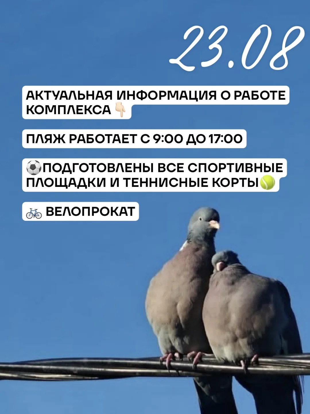 🌿 Сегодня отличный день для отдыха на природе — до +22 °C