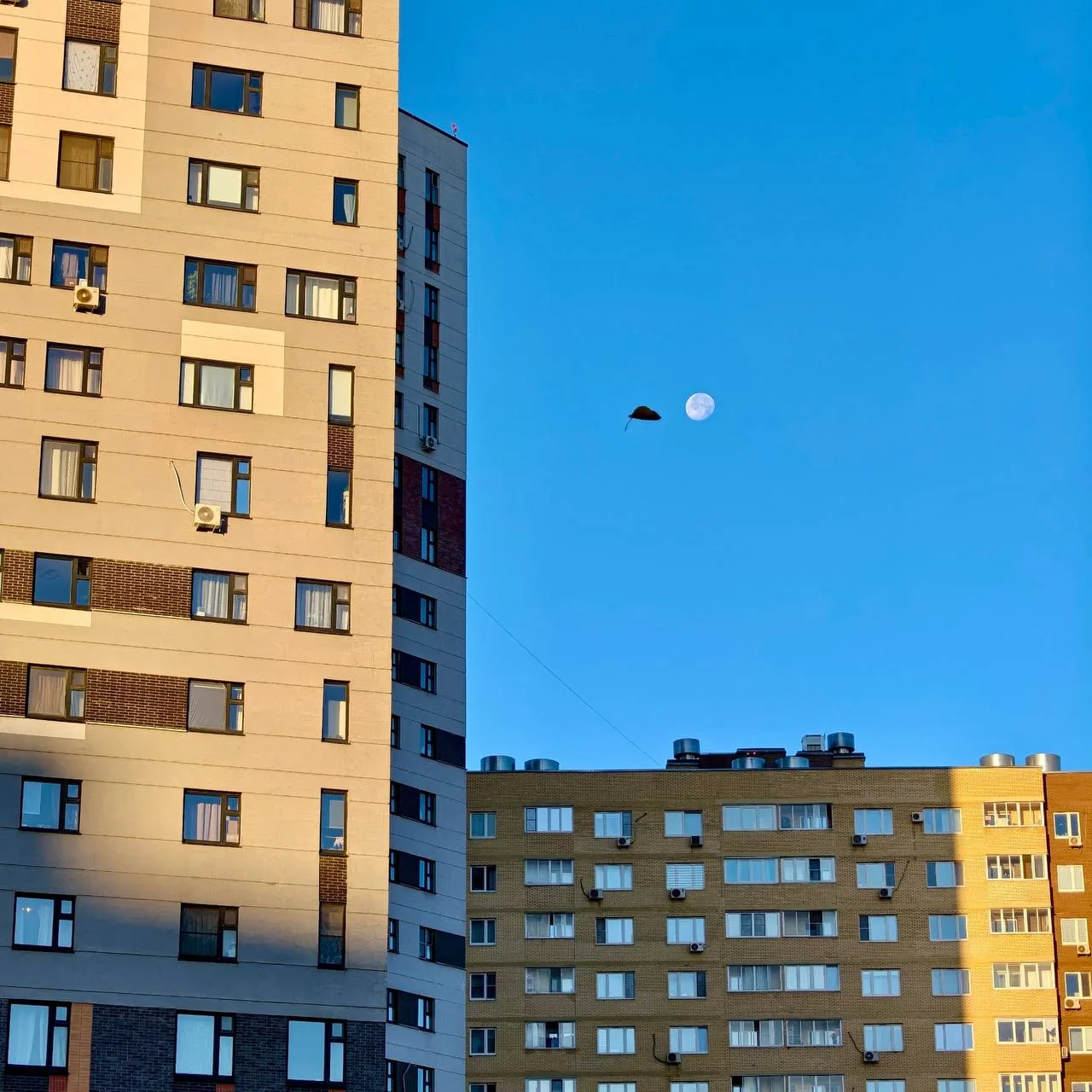 Падающий осенний лист на фоне утренней луны 🍂🌕