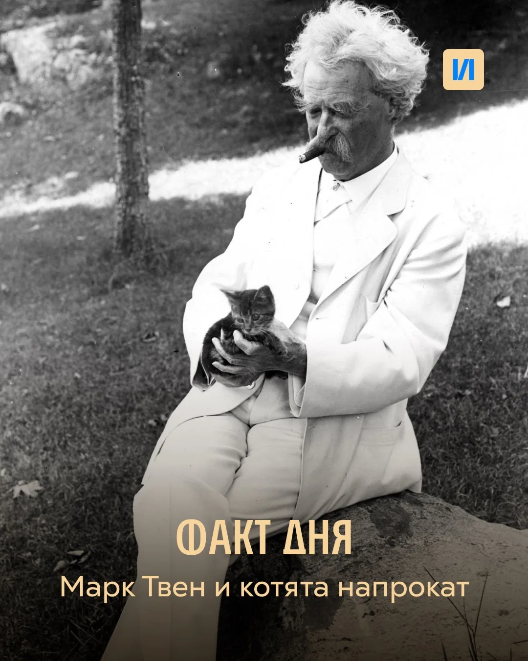 Марк Твен арендовал котят на лето 🐈