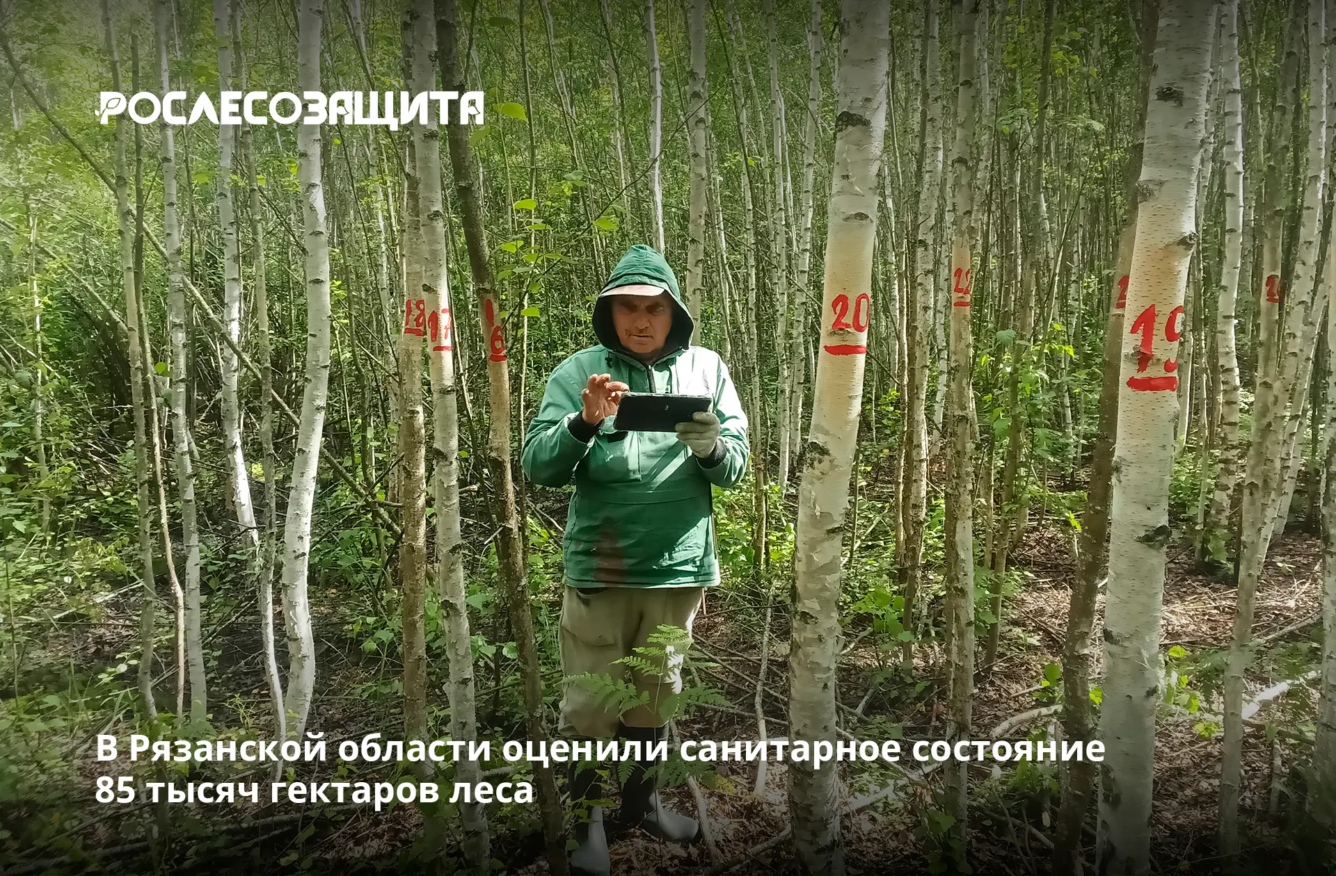 ✅ Филиал Рослесозащиты подвел предварительные итоги регулярных наземных наблюдений за с...