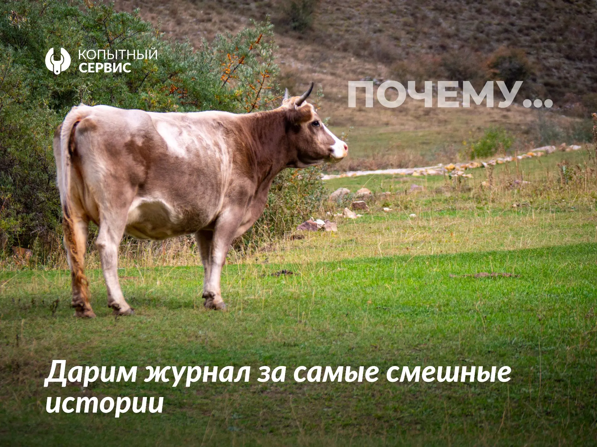 Свежий выпуск журнала в обмен на ваши смешные истории!