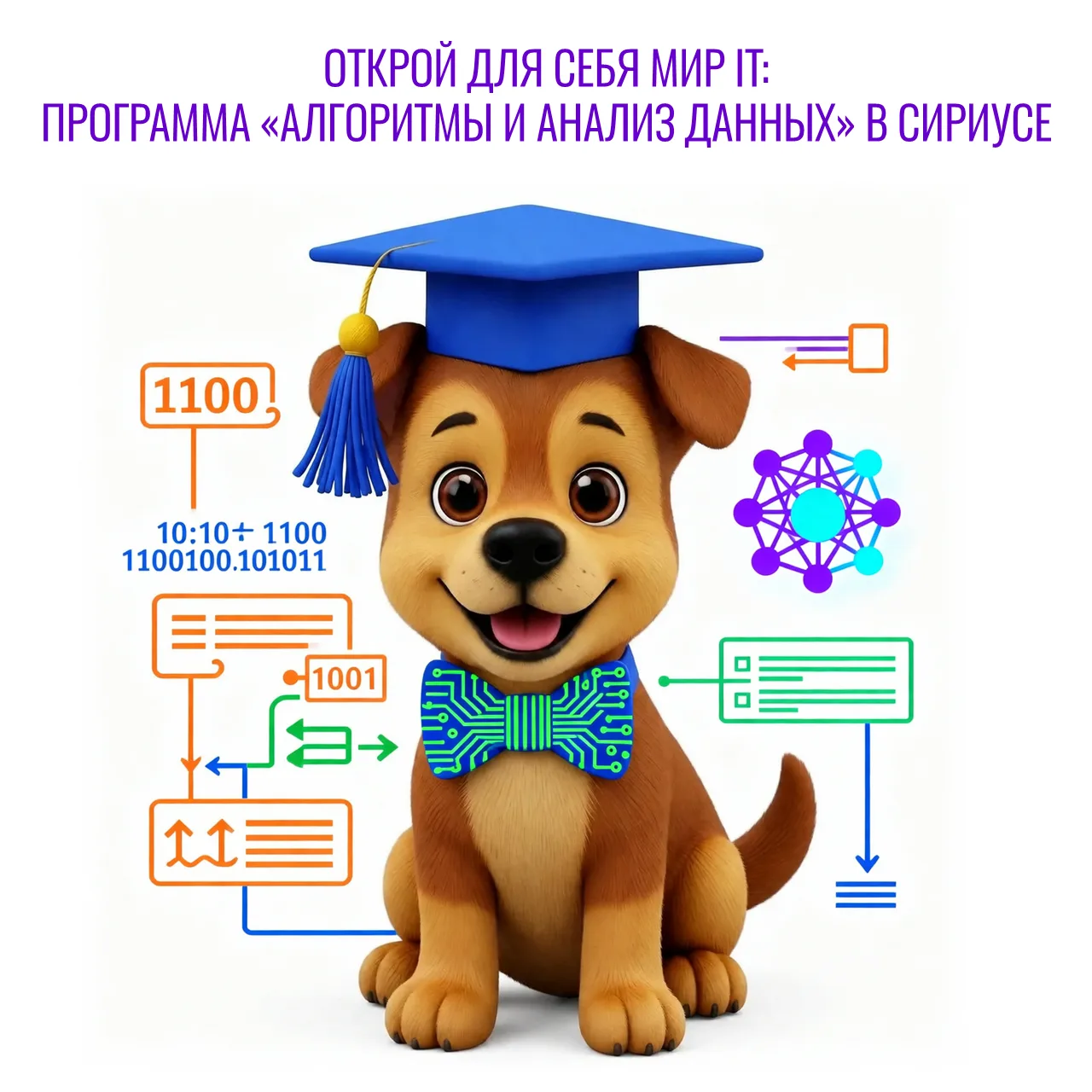 ОТКРОЙ ДЛЯ СЕБЯ МИР IT: ПРОГРАММА «АЛГОРИТМЫ И АНАЛИЗ ДАННЫХ» В СИРИУСЕ!