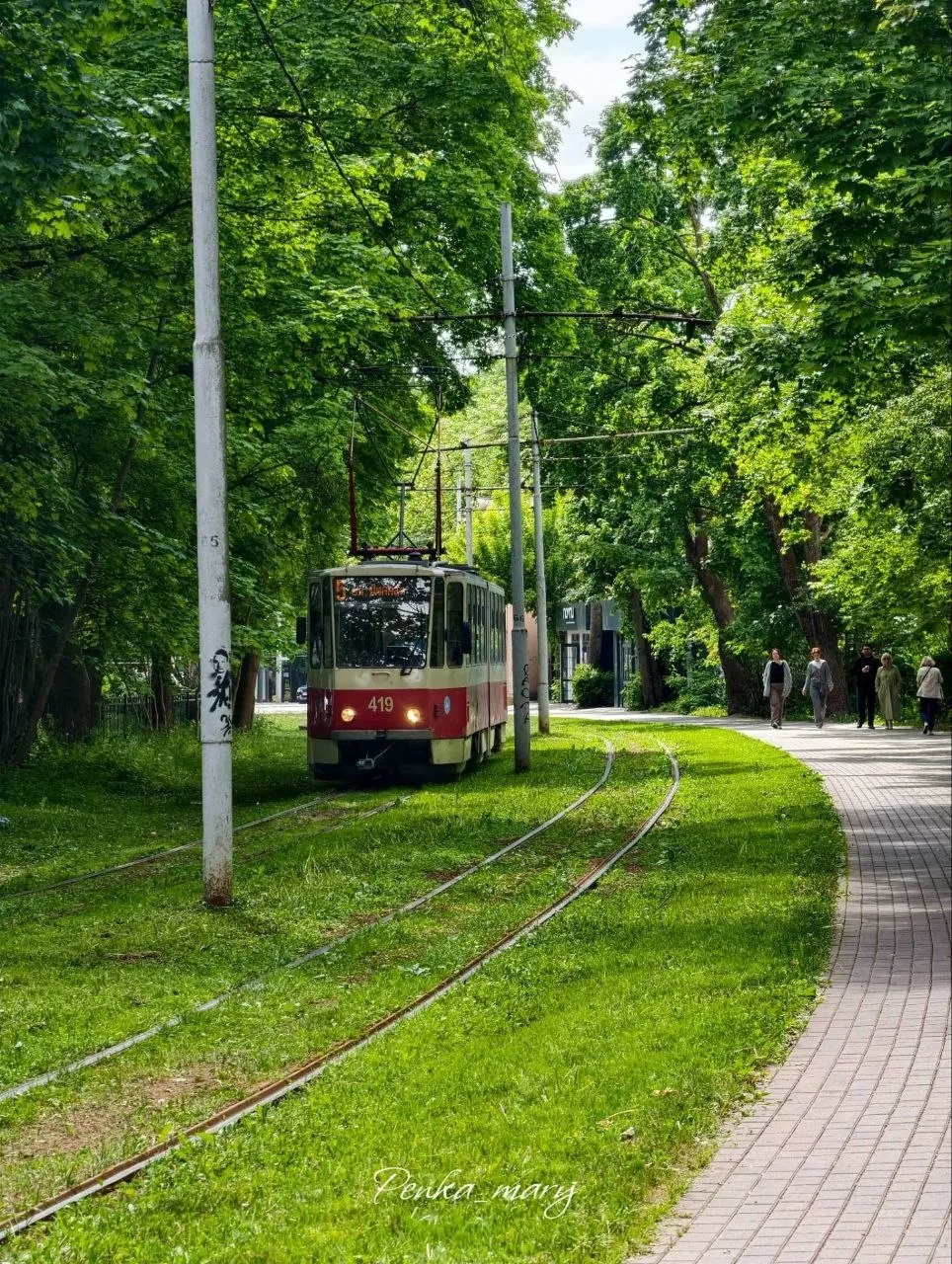 🌿🚃 Утро в Калининграде пахнет зелёной листвой и трамваями