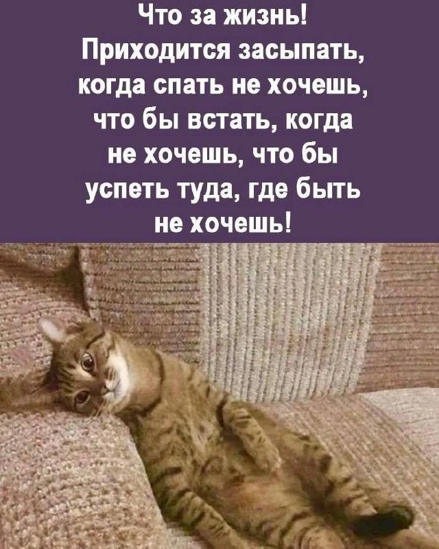 Юмор - Подписаться