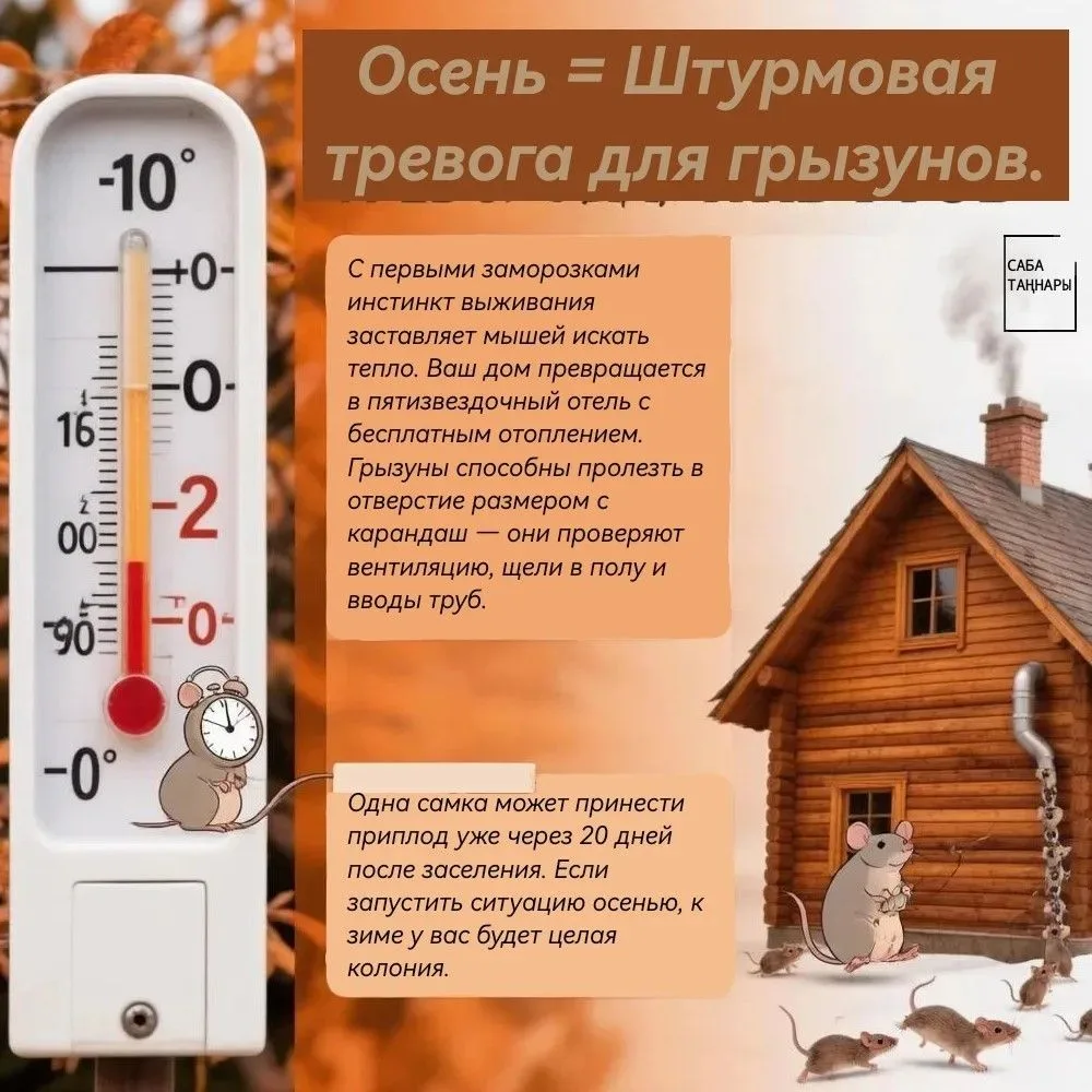 ❗️Белеп тоу зыян итмәс! Файдалы киңәшләр безнең КАРТОЧКАЛАРДА👆