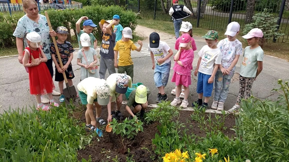 Сегодня выпускники детского сада приняли участие в трогательной и символичной традиции — посадке дер