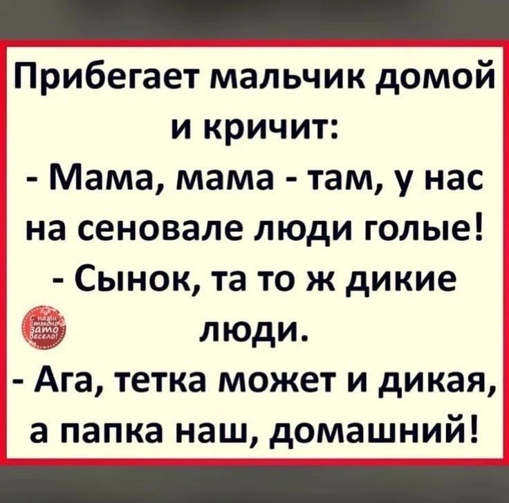 Наш,домашний🤣🤣