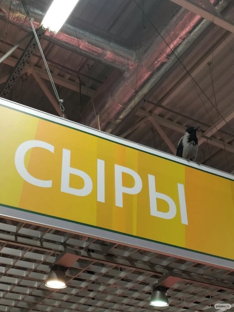 🔥Игра в обложку!

Какую книгу вы бы выпустили под такой картинкой?

✅Если это выдуманная книга, ука
