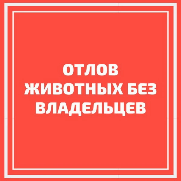 Администрация муниципального образования Белореченский муниципальный район Краснодарско...