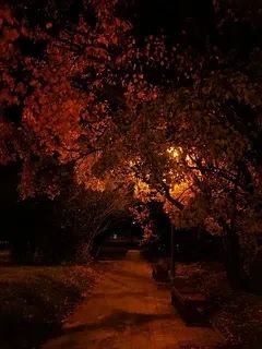 🌙 среда закончилась