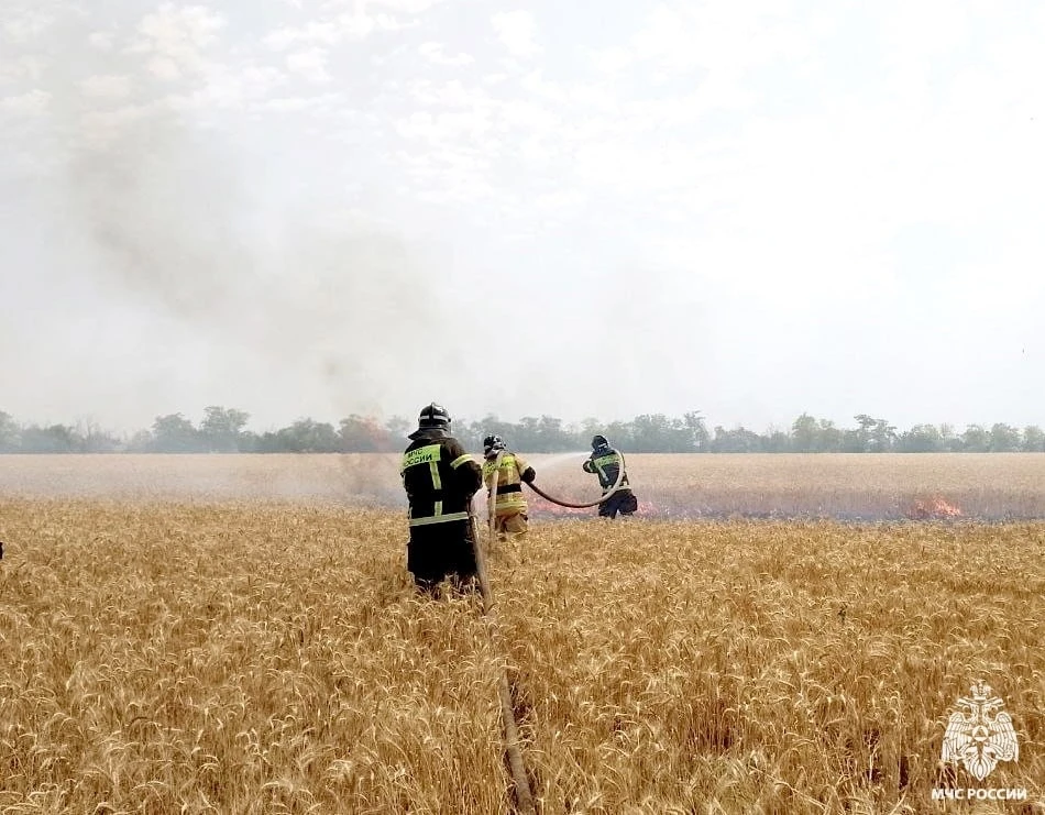 👨‍🚒 За минувшие сутки в Запорожской области произошло 10 пожаров

За вчерашний день было зарегистр
