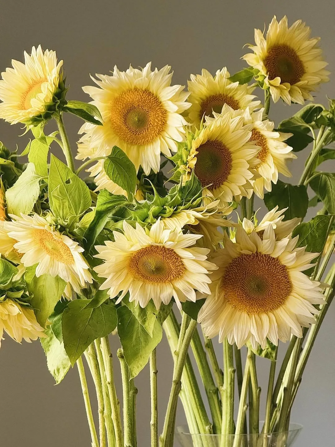 Сегодня в нашей мастерской солнечно 🌻