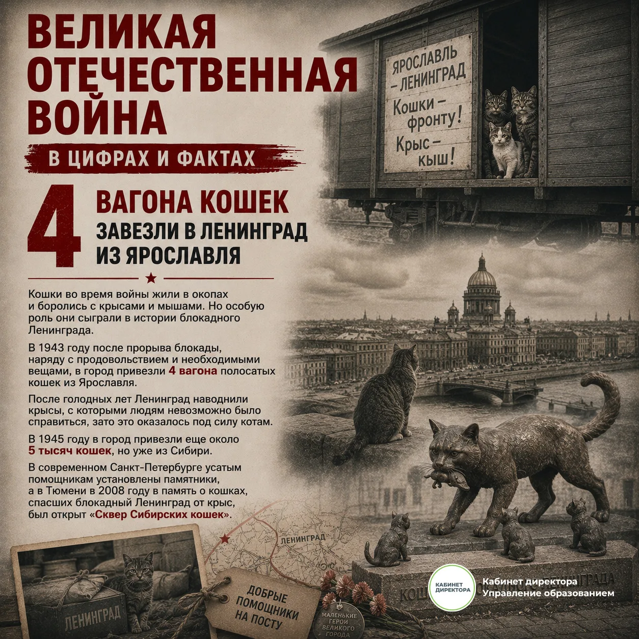 Великая Отечественная война в цифрах и фактах 🎖️