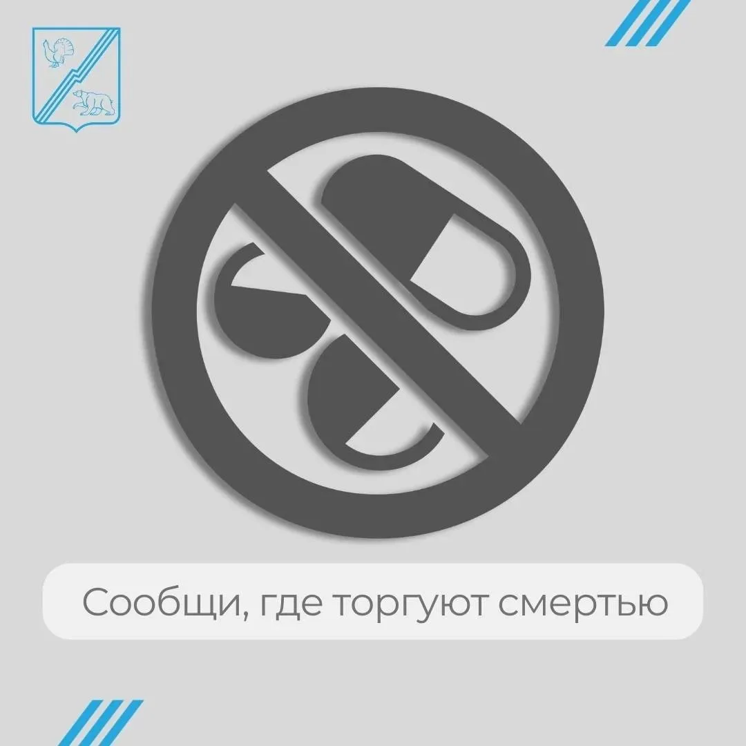 В центральном городском сквере «Северное сияние» прошёл фестиваль «Движения Первых» сре...