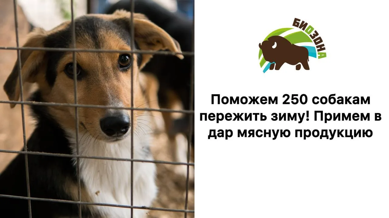 Уважаемые владельцы и руководители мясоперерабатывающих комбинатов, сельхозпредприятий,...
