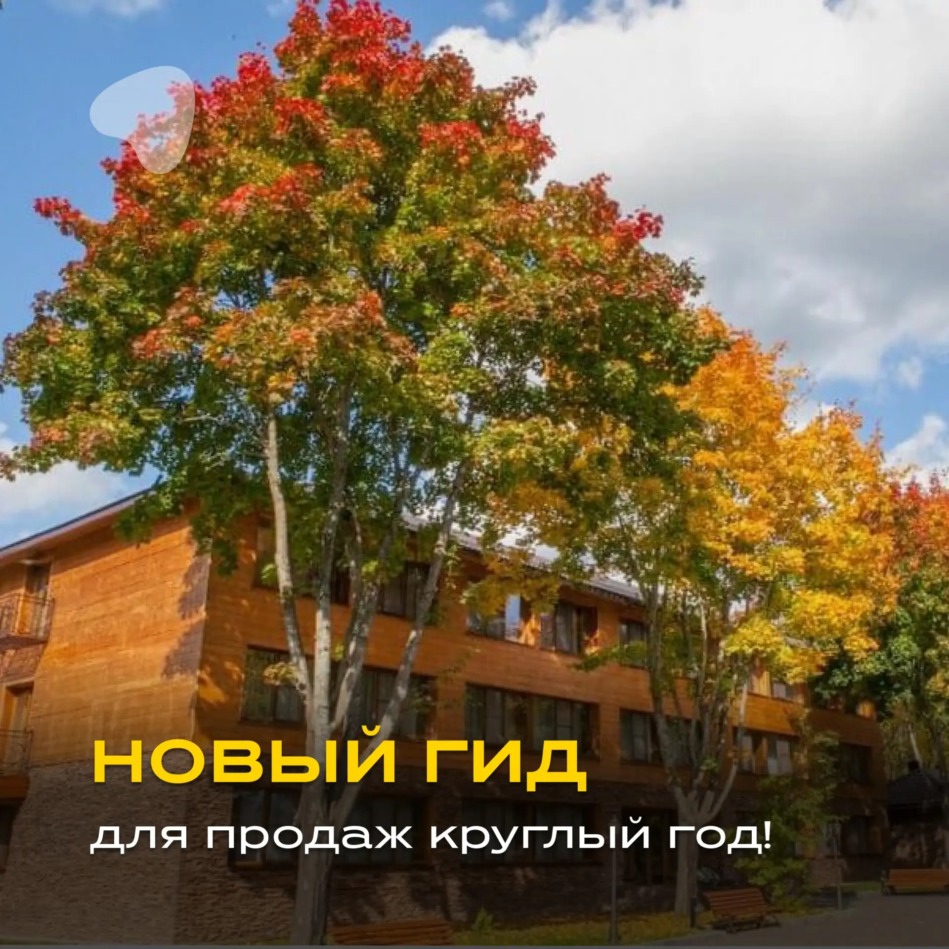 🏡 Подмосковье круглый год: новый гид для турагентов