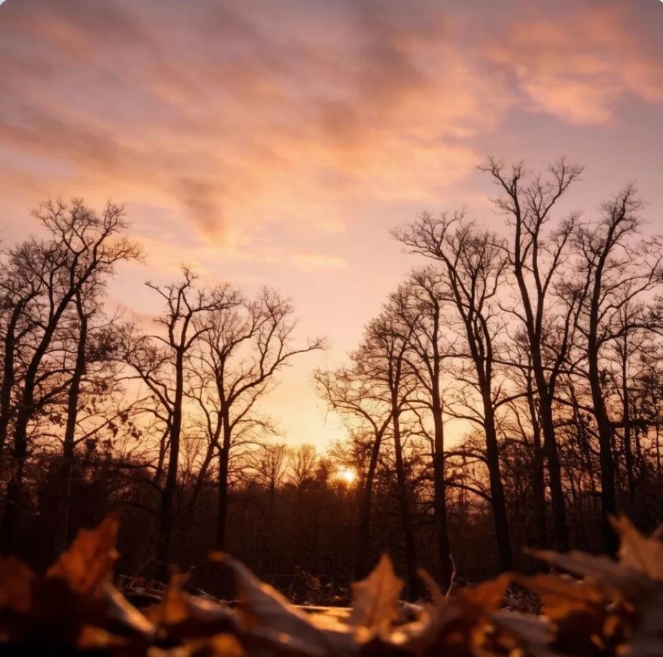 🍂 Приятного вечера, дорогие друзья ❤