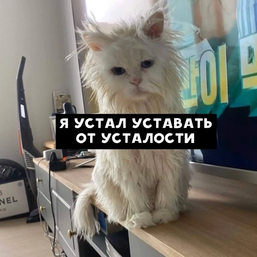 ⚠️5 сигналов воспаления, которые вы игнорируете

Хроническое воспаление не болит. Оно разрушает тихо