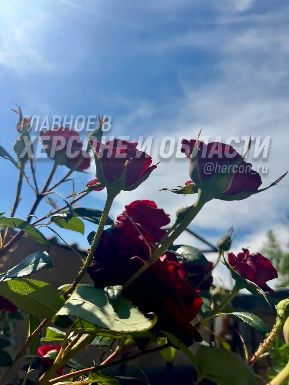Все, воскресенье почти закончилось

Понедельник на пороге. Лучшее, что можно сделать сейчас — лечь с