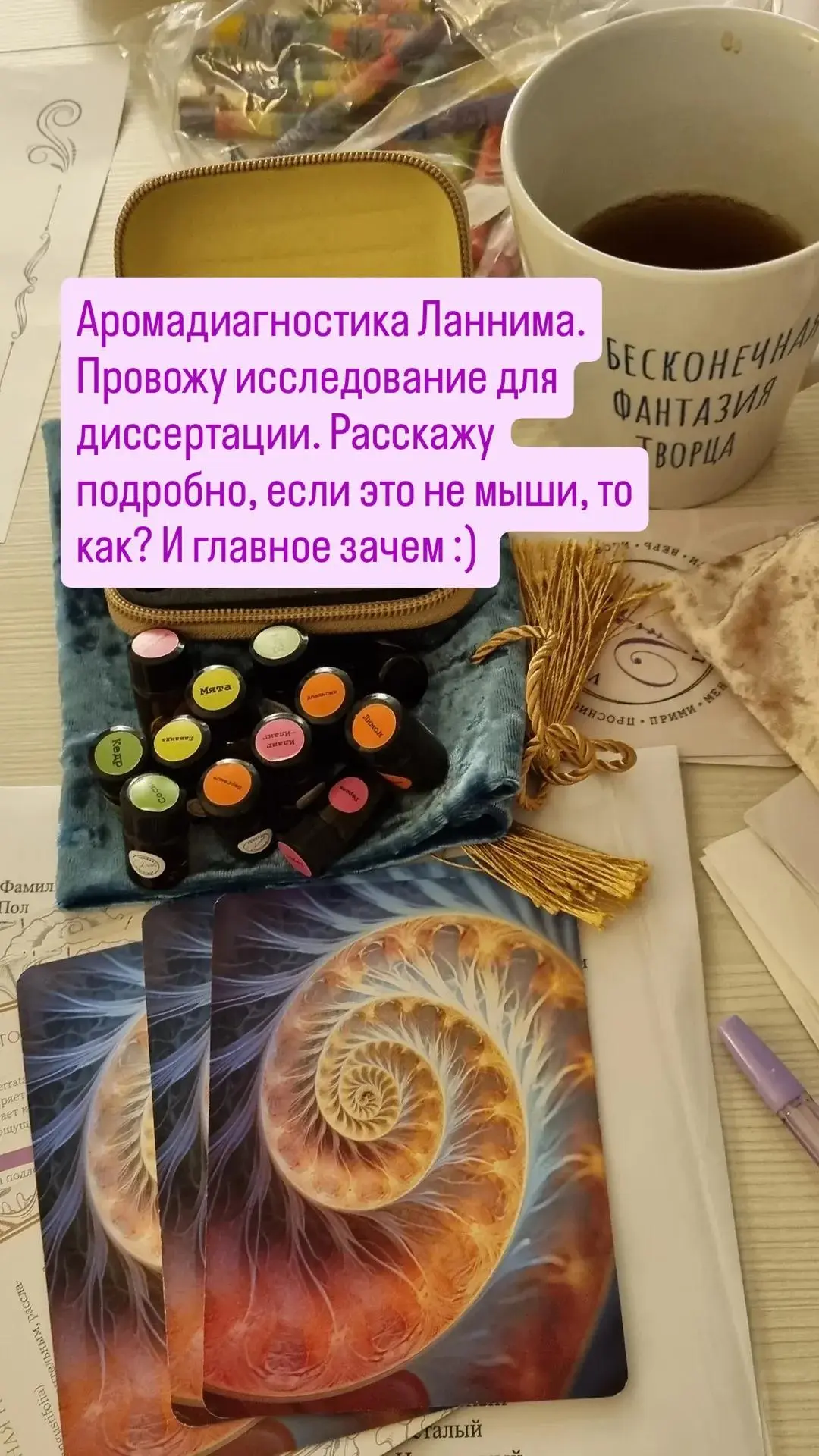Репортаж из Летнего Лагеря 💜