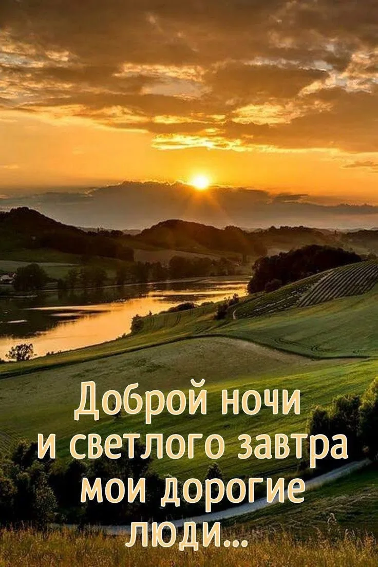 🌿🔶🌿🔶🌿🔶🌿🔶🌿🔶
