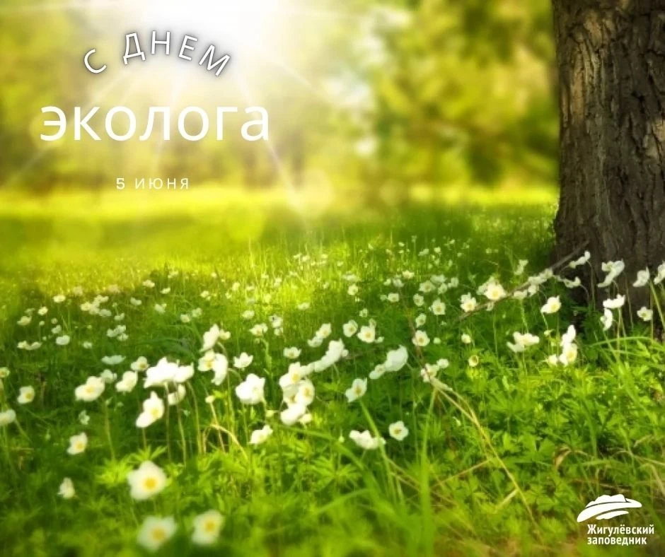 С Днём эколога! 

Поздравляем всех, кто бережёт нашу планету: учёных и инспекторов, педагогов и эко‑
