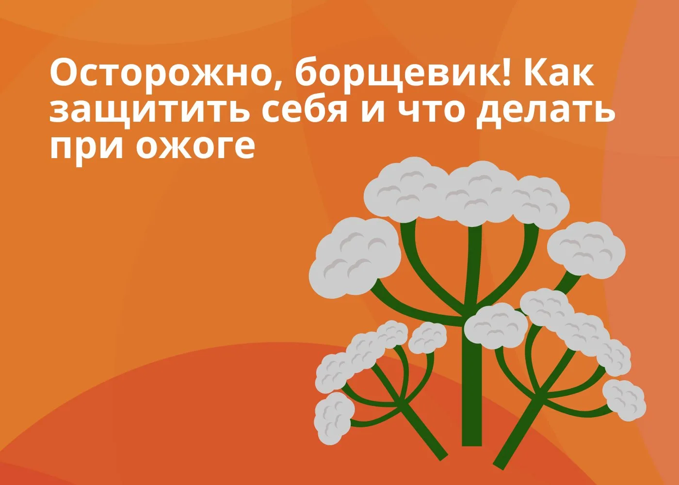 Уважаемые пациенты и гости Пятигорска! С наступлением тёплого сезона на территории нашего региона и 
