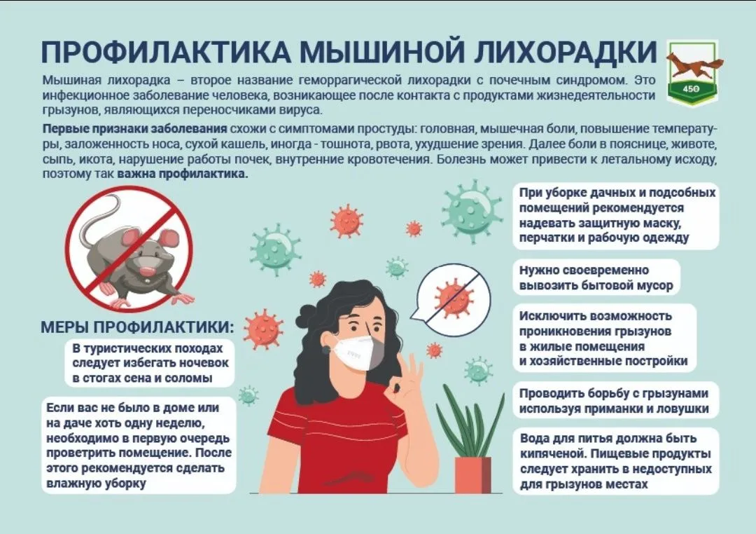 ГЛПС у детей: причины, симптомы и профилактика
Геморрагические заболевания, к числу которых относитс