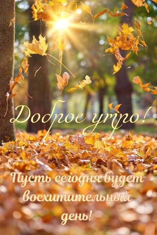 Открытки: подписаться ❤️
