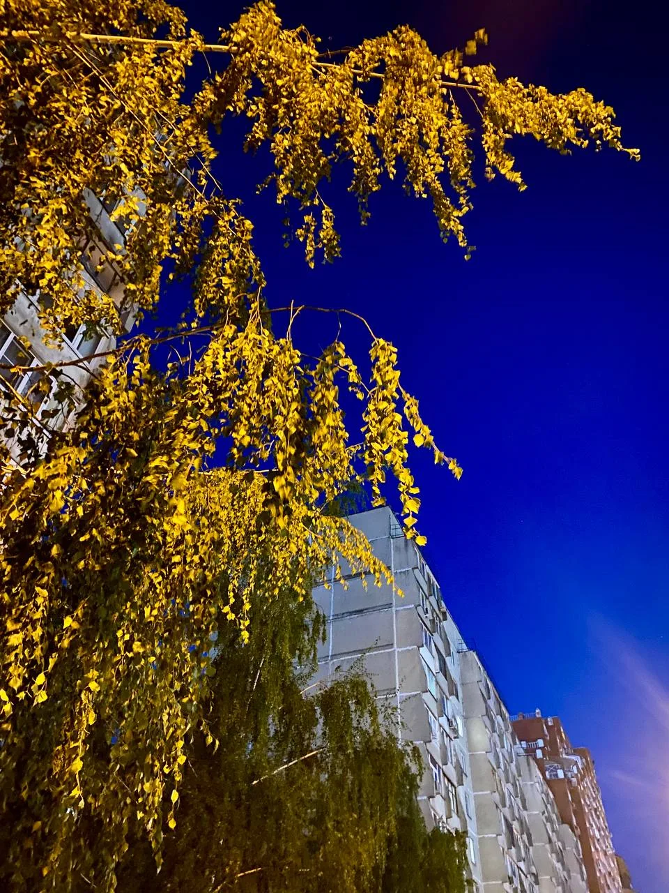 Доброй ночи!