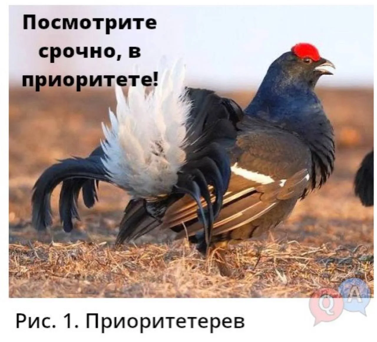 ✅ Лучшие Приколы - Подпишись