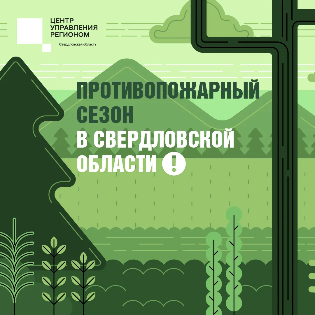 🌲 Защитим лес от огня вместе